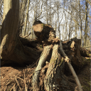 lovely_little_problem