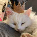 🥚M🥚llyJewell 🥚[🥚]