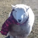 ducklordhor