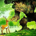 Hayden, Khonshudette